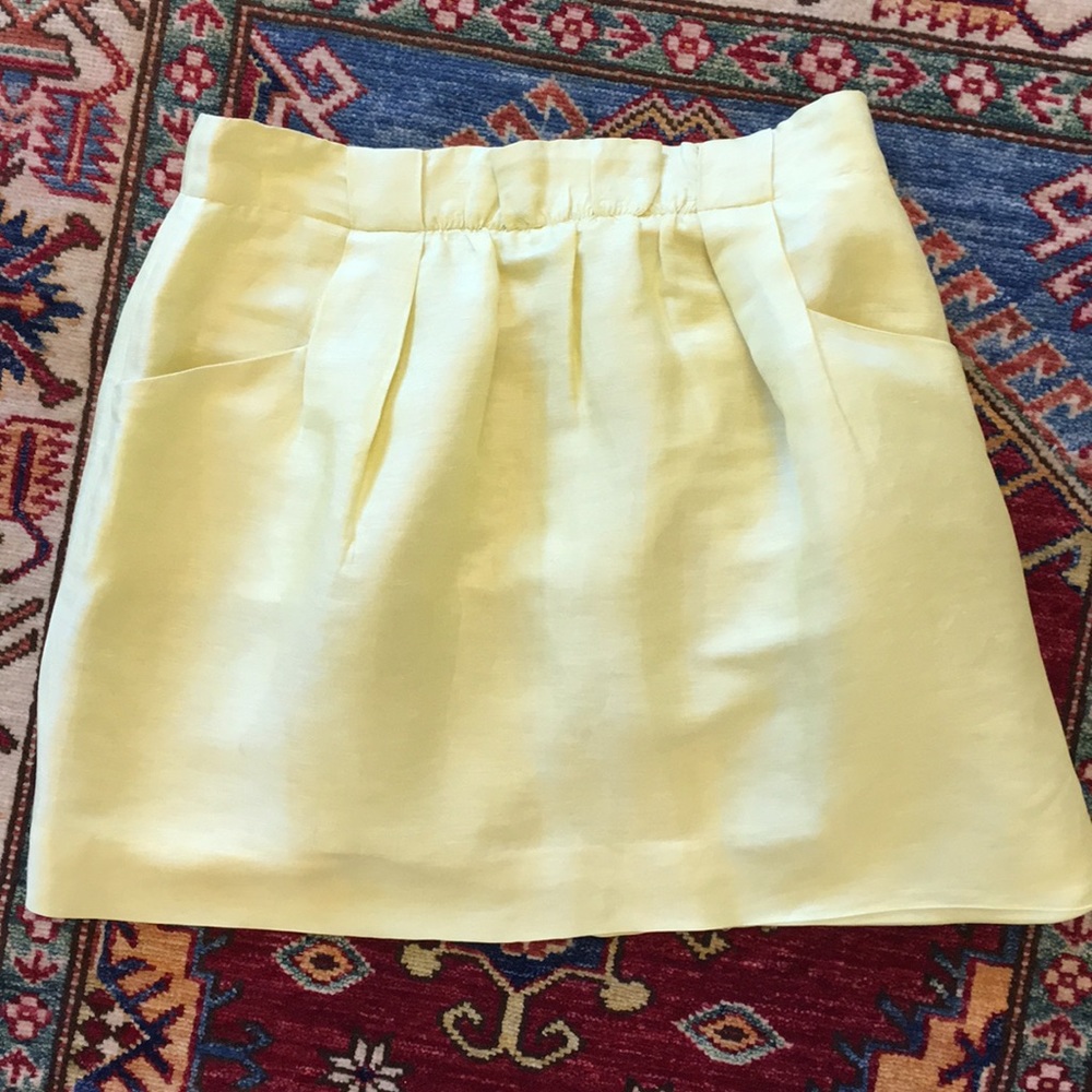 J. Crew Skirt
